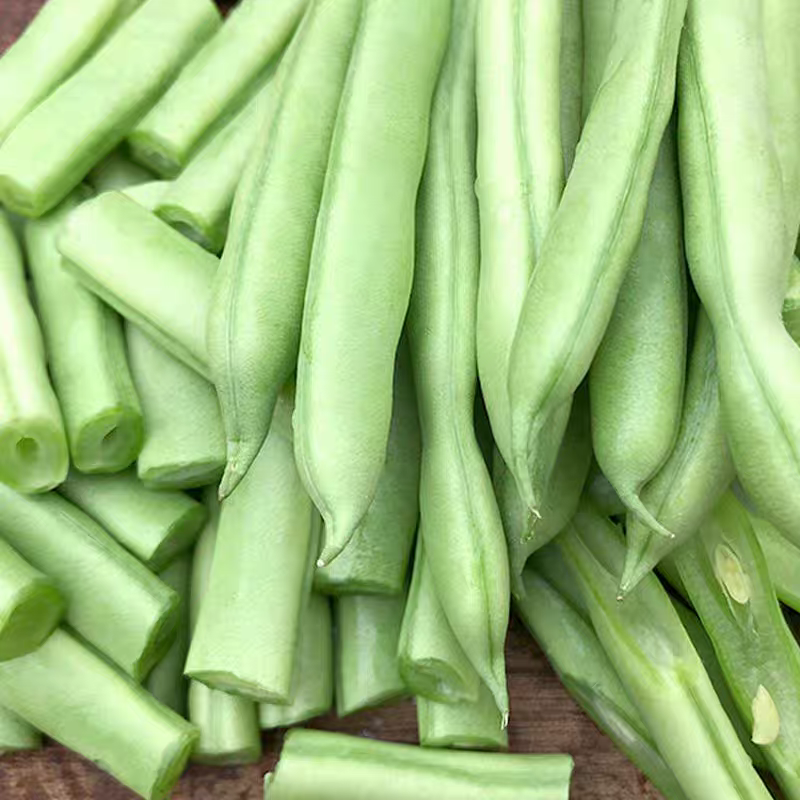 【精品四季豆】广东无筋豆/条形优美/产地货源/全国代办