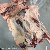 牛隔膜，牛护心肉，罗肌肉，天蓬肉，牛腩牛肚腩牛碎腩牛筋膜