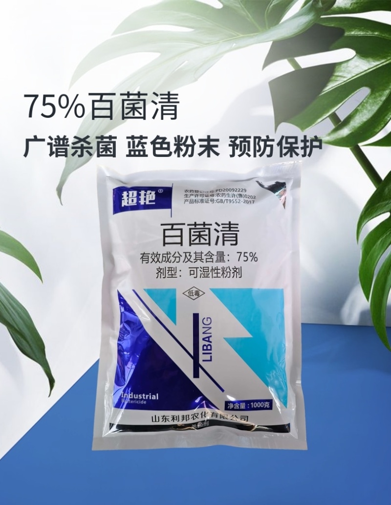 壮丁75%百菌清蓝粉蓝色百菌清蔬菜果树广谱高效杀菌剂