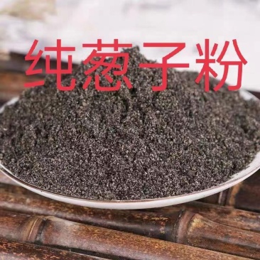 葱籽粉新货大葱子葱子葱菜籽大葱籽葱实大葱籽