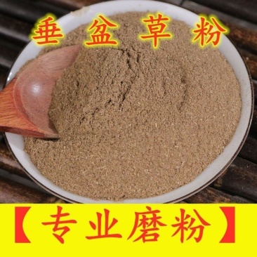 垂盆草粉中药材粉***野生现磨垂盆草超细粉纯正***