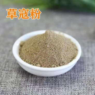 草寇粉草寇仁草豆蔻草寇草扣非大老蔻粉卤料香料调料大