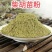 柴胡苗粉春柴胡苗粉现现磨
