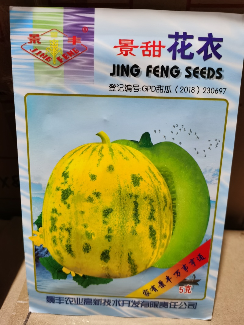 景甜花丽5号景甜花衣甜花衣景丰系列甜瓜种子