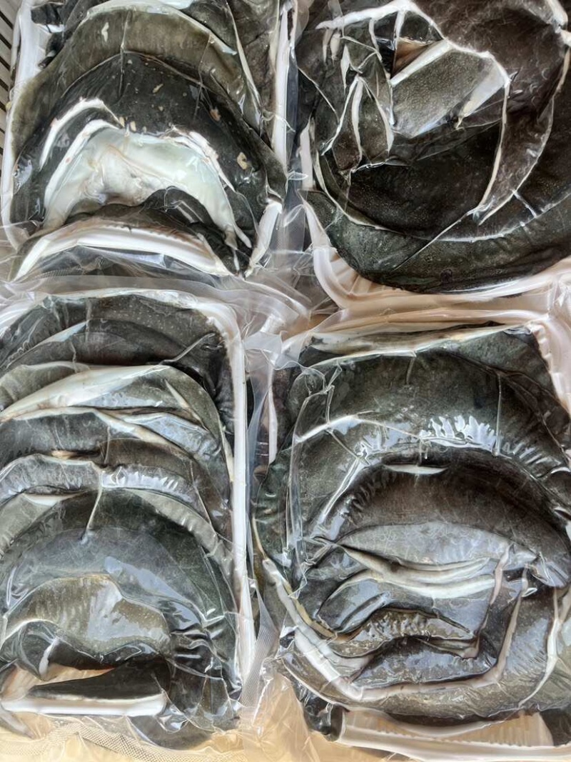 甲鱼裙边鲜活甲鱼裙边活杀对接全国量大从优保质保量