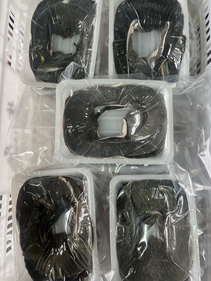 甲鱼裙边鲜活甲鱼裙边活杀对接全国量大从优保质保量