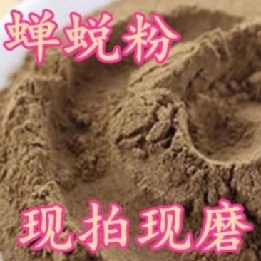 中药材蝉蜕粉天然蝉衣知了壳蝉脱自然脱落现磨蝉蜕粉