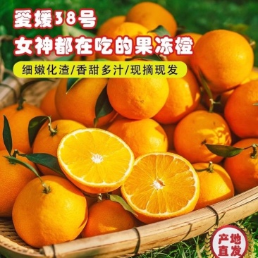 正宗爱媛果冻橙38号新鲜水果孕妇柑橘桔无籽薄皮整箱批发手剥橙
