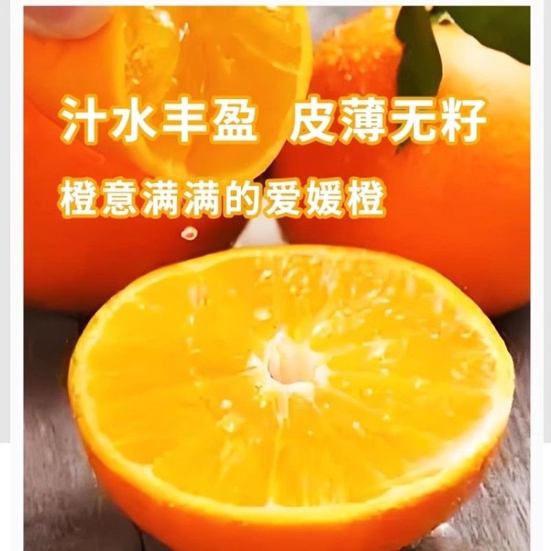 正宗爱媛果冻橙38号新鲜水果孕妇柑橘桔无籽薄皮整箱批发手剥橙