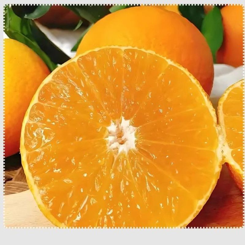正宗爱媛果冻橙38号新鲜水果孕妇柑橘桔无籽薄皮整箱批发手剥橙