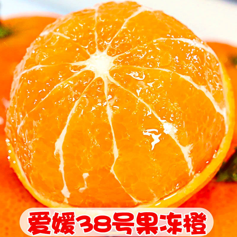 正宗爱媛果冻橙38号新鲜水果孕妇柑橘桔无籽薄皮整箱批发手剥橙