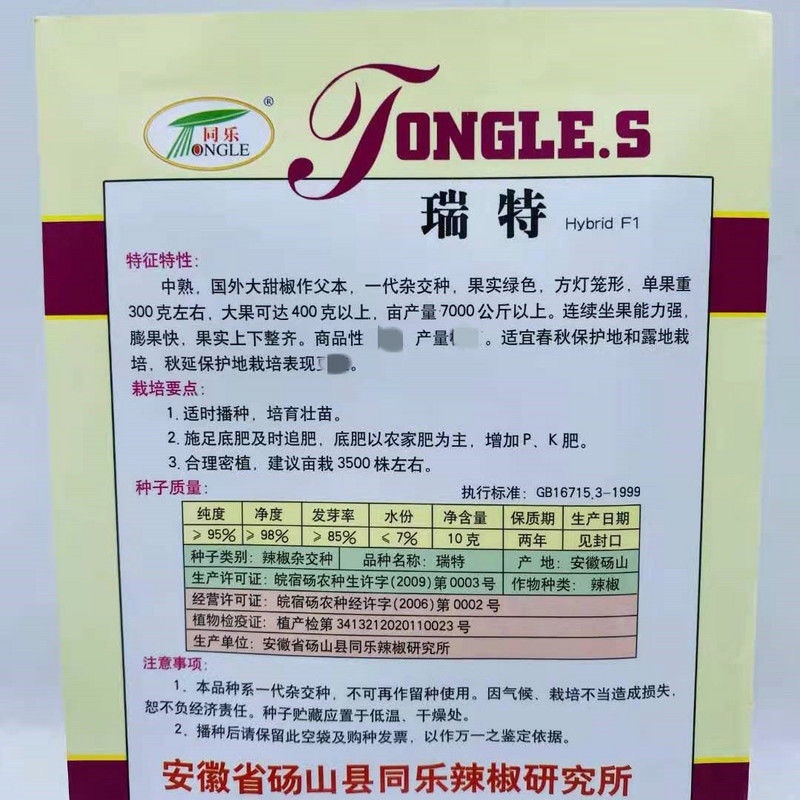 瑞特甜椒种子方灯笼椒种子果实绿色膨果快