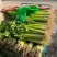 小香芹聊城山芹货源充足按需加工代收代发全国