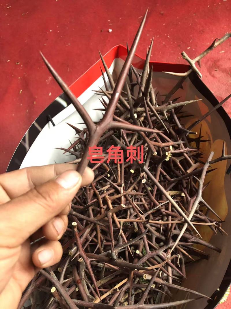 皂角刺，人工手剪切片，大家可以看一下图片