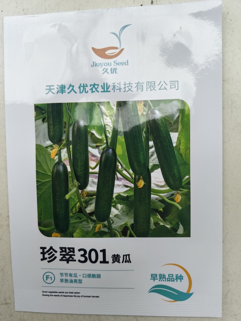 荷兰水果黄瓜种子珍翠301乳瓜深绿甜脆无刺节节有瓜春秋黄