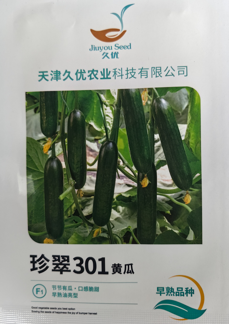 荷兰水果黄瓜种子珍翠301乳瓜深绿甜脆无刺节节有瓜春秋黄