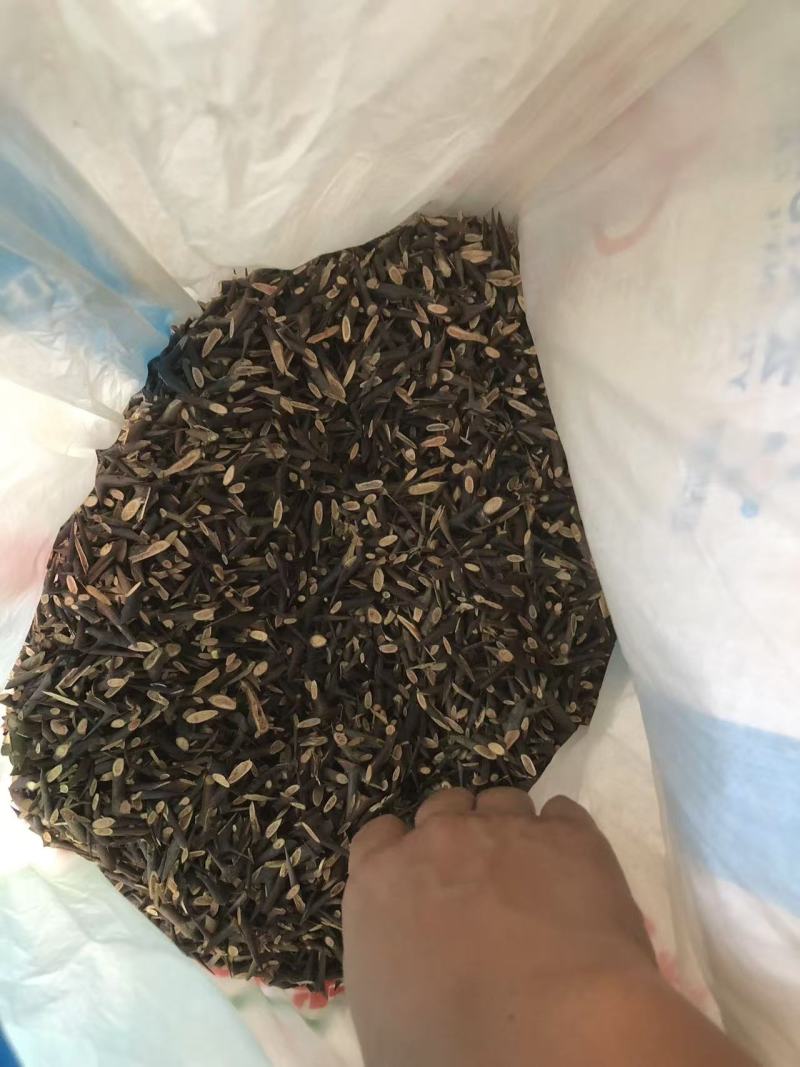 皂角刺，人工手剪切片，大家可以看一下图片