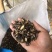 皂角刺，人工手剪切片，大家可以看一下图片