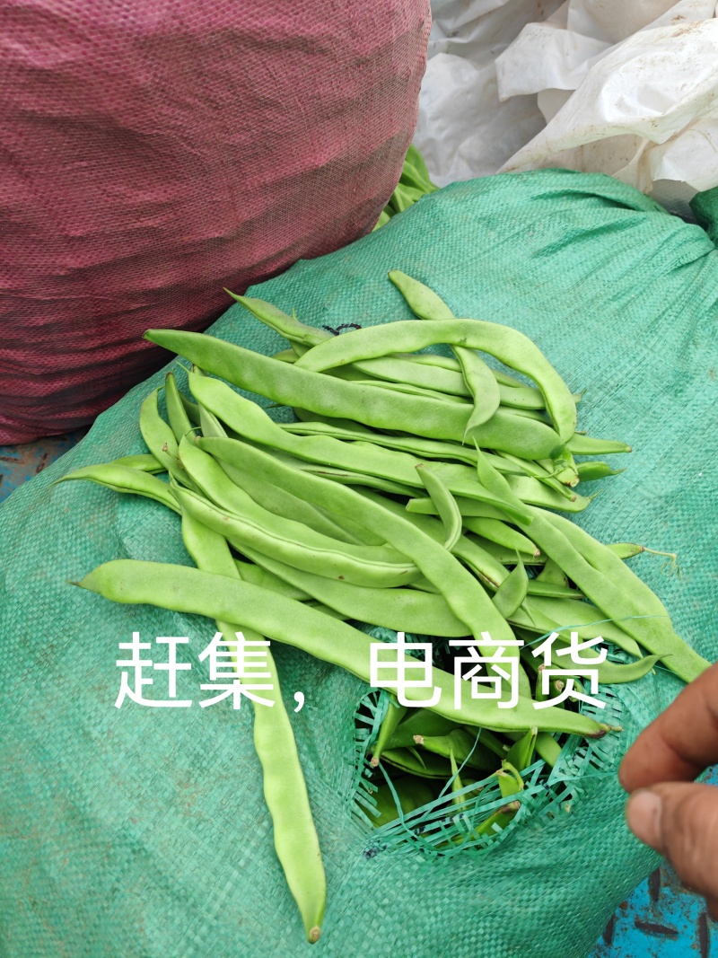 扁青芸豆精品货赶集货电商货负责找车还有其他蔬菜代办代发