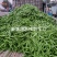 扁青芸豆精品货赶集货电商货负责找车还有其他蔬菜代办代发