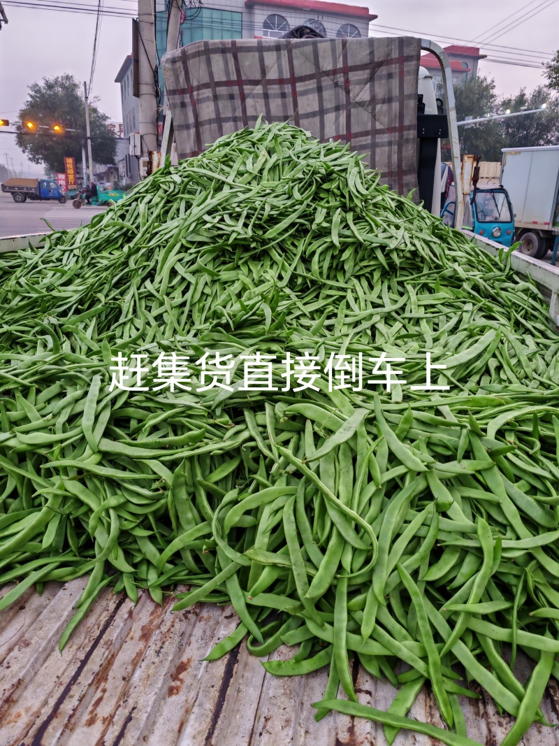 扁青芸豆精品货赶集货电商货负责找车还有其他蔬菜代办代发