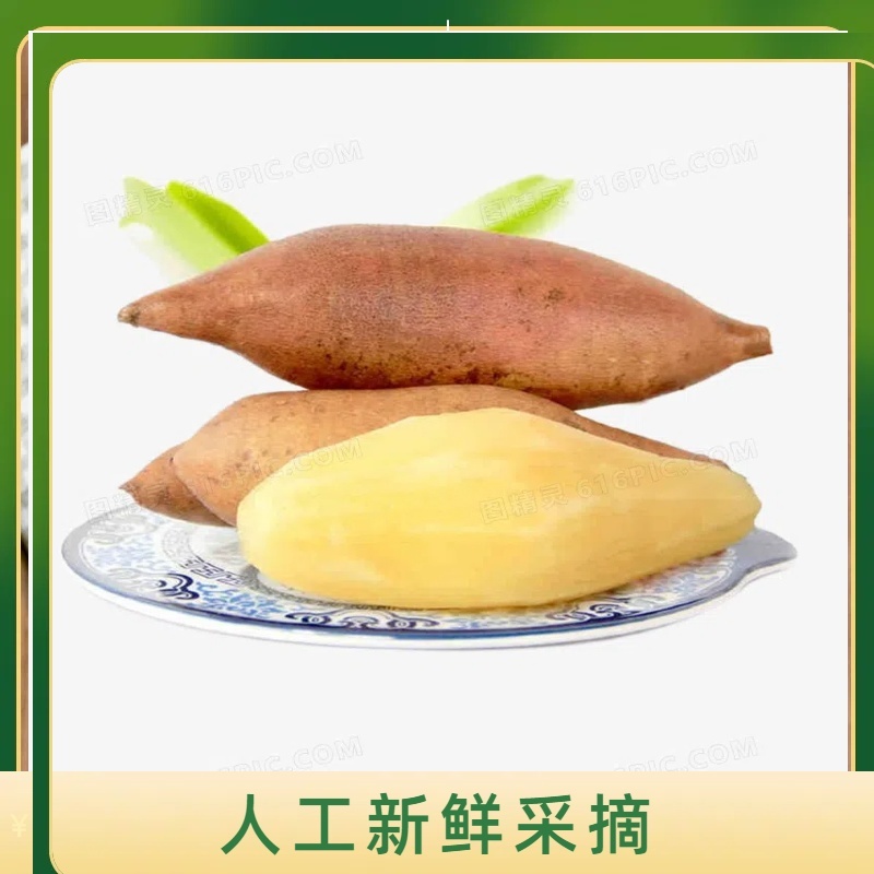【推荐】云南雪莲果/批发/一件代发/对接商超电商市场