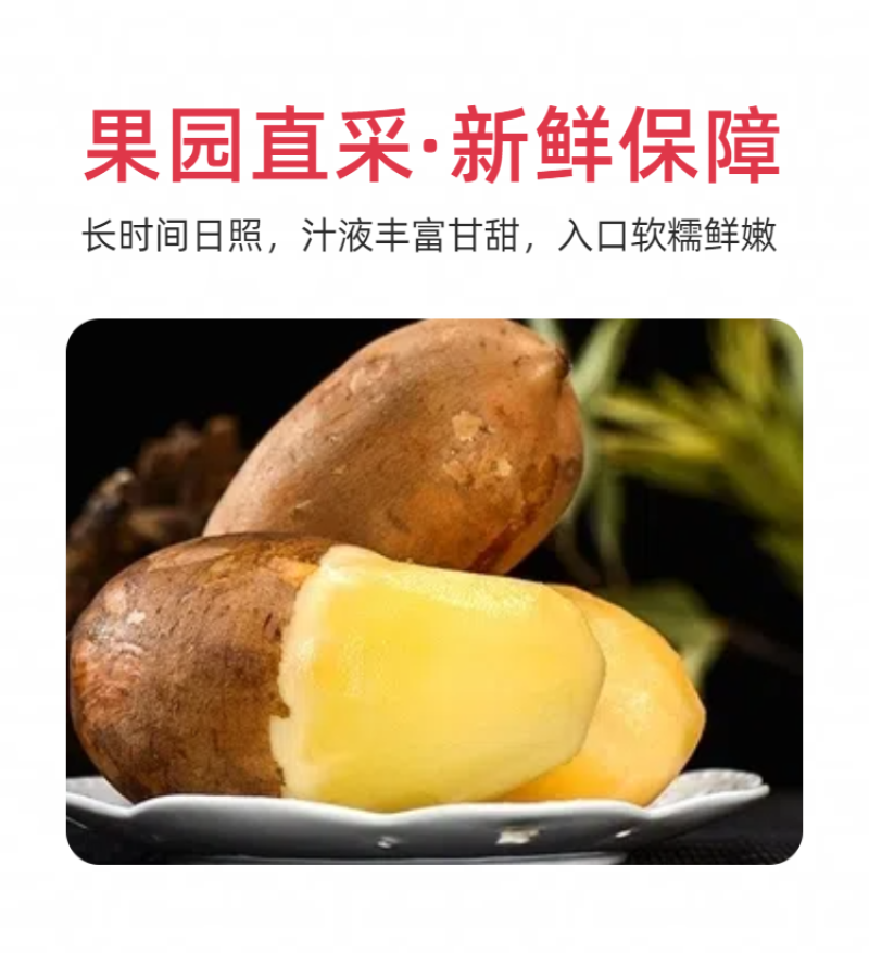 【推荐】云南雪莲果/批发/一件代发/对接商超电商市场