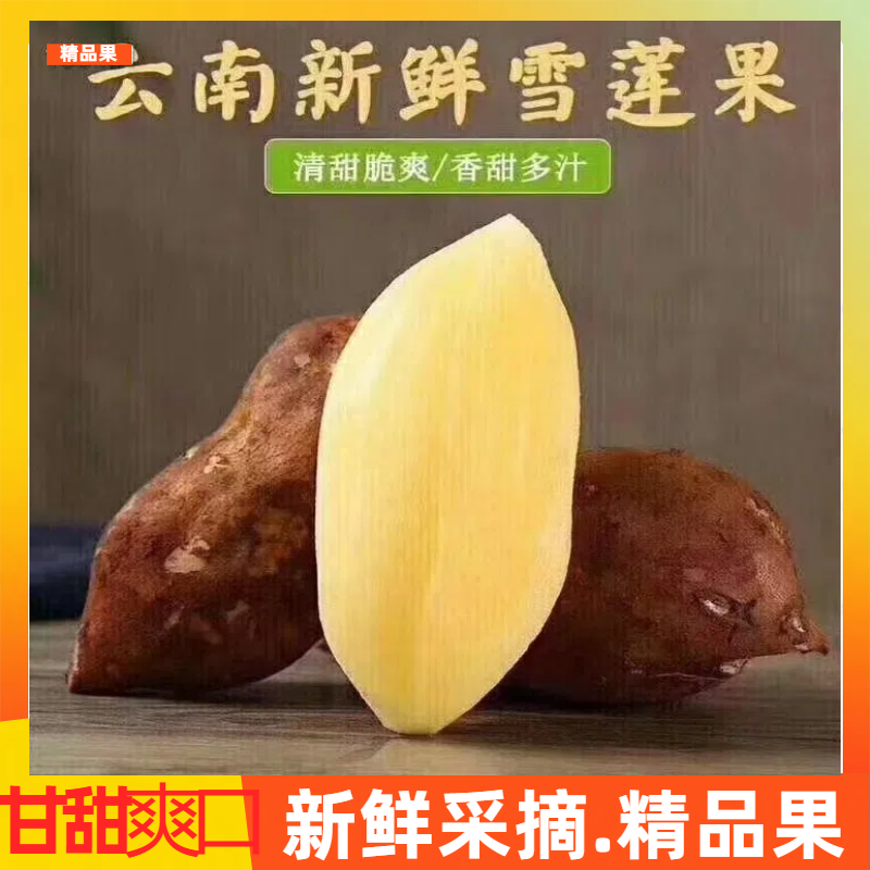 【推荐】云南雪莲果/批发/一件代发/对接商超电商市场