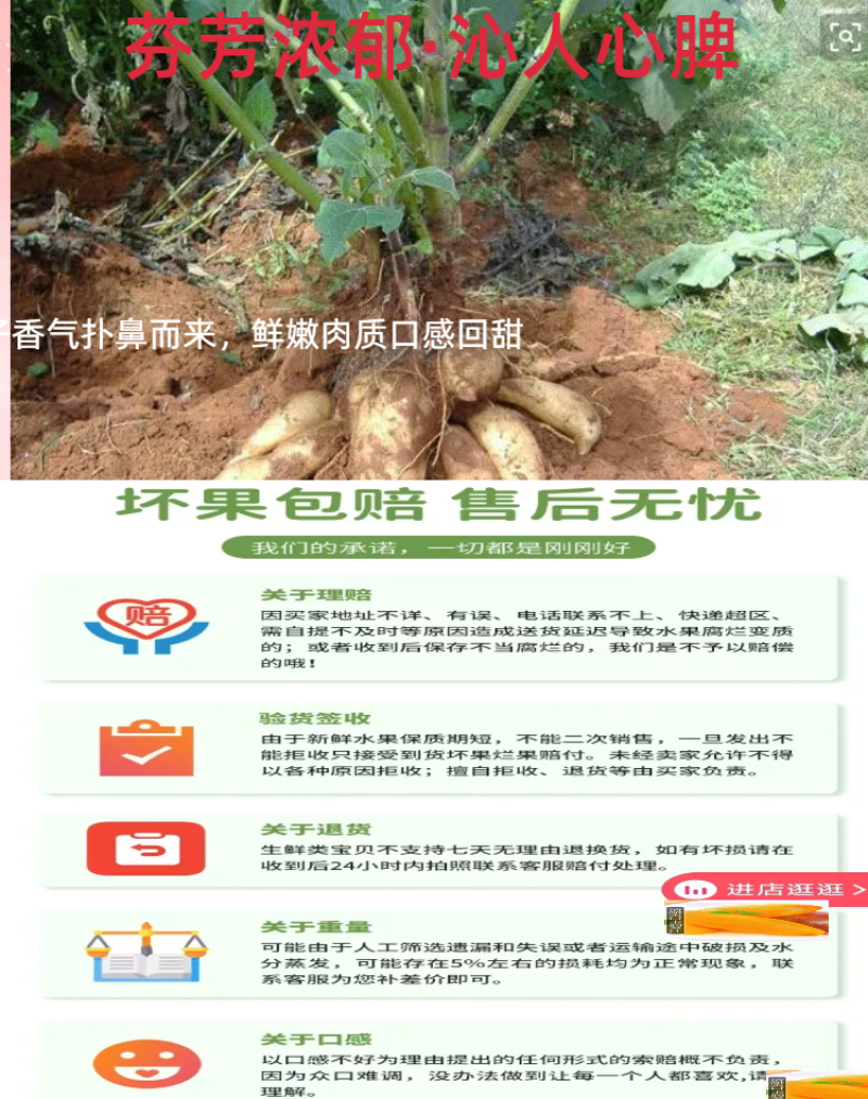 【推荐】云南雪莲果/批发/一件代发/对接商超电商市场
