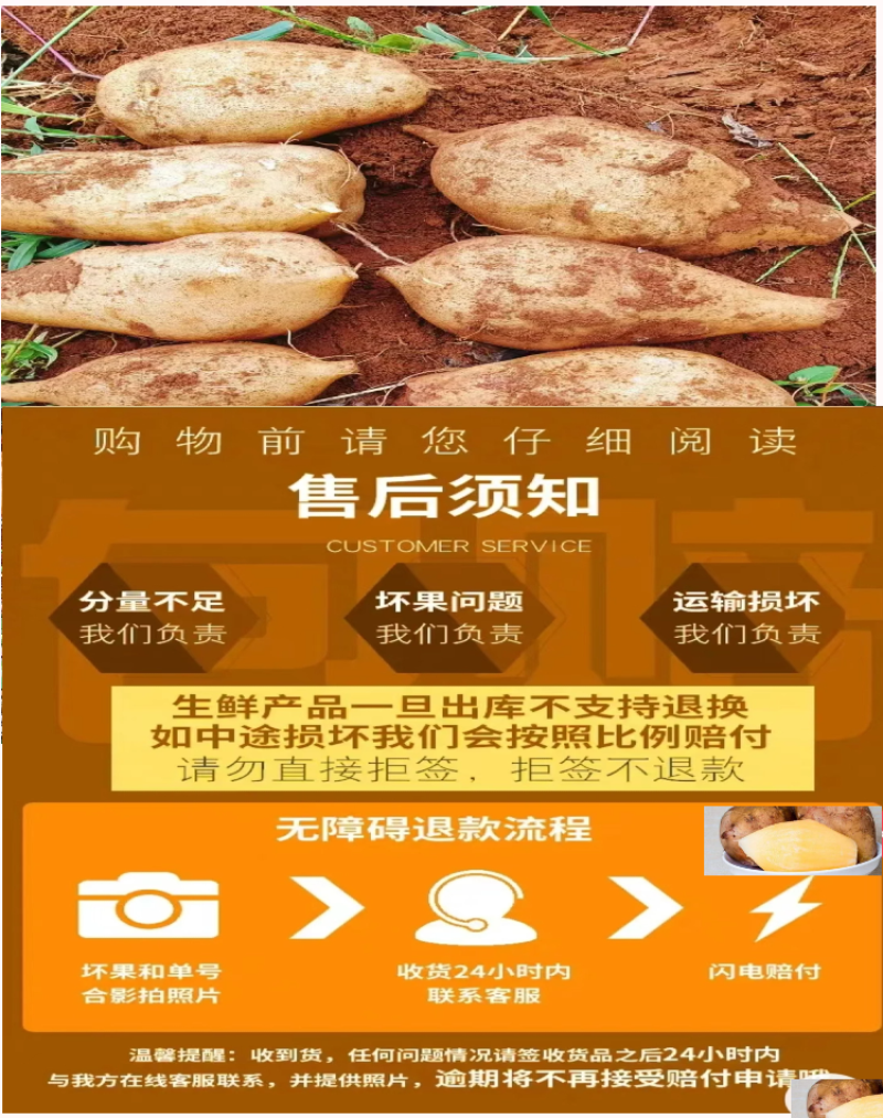 【推荐】云南雪莲果/批发/一件代发/对接商超电商市场