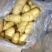 精品黄心土豆现货现发对接全国供应大型批发市场