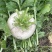 盘菜