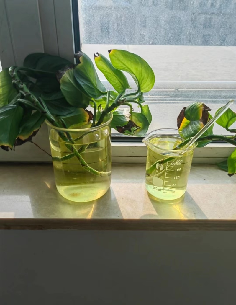 爱满益5亿有效活菌微生物菌剂预防土传病害以菌治菌肥料