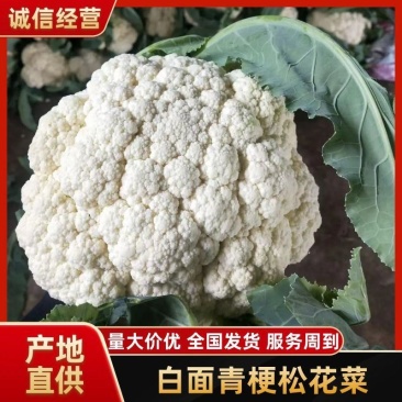 青梗精品有机花菜货源足，全国发货质量好，支持视频看货