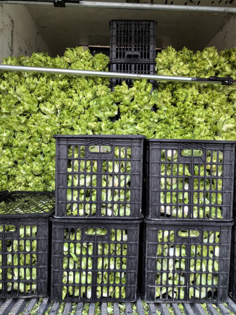 儿菜多子菜儿菜头电商货市场货多多买菜美团