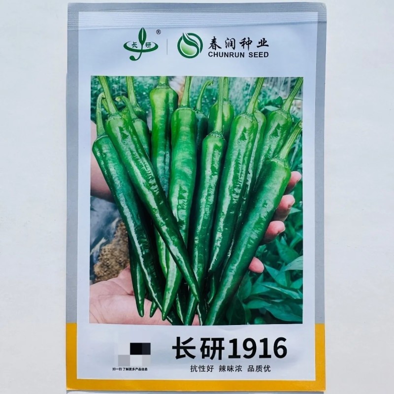 春润种业长研1916辣椒种子辣味浓香抗性好早熟羊角椒种子