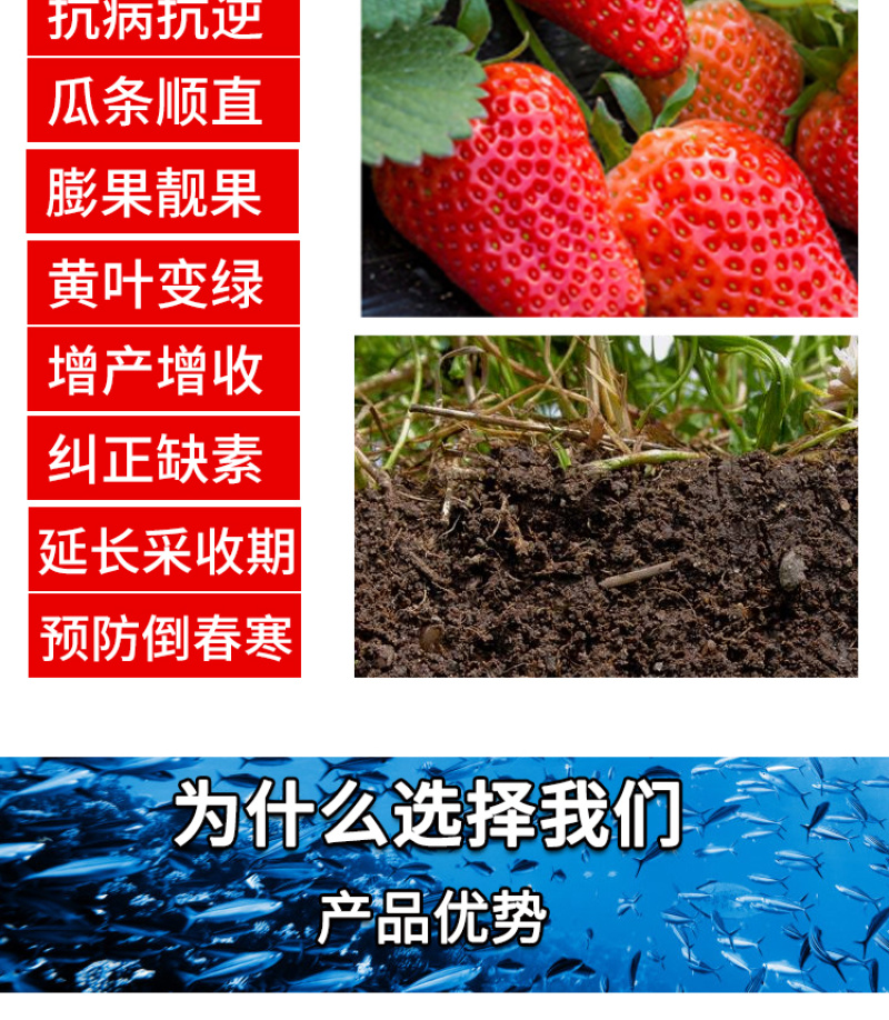 鱼蛋白叶面肥海藻多肽鱼蛋白生根肥鱼蛋白原浆