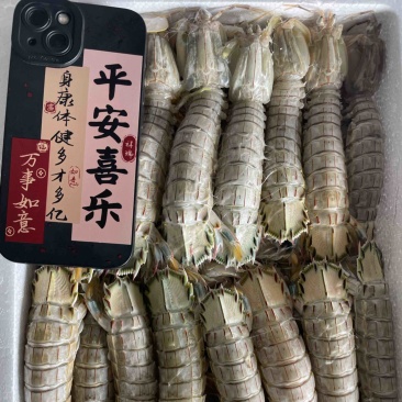 皮皮虾、虾爬子、咕虾