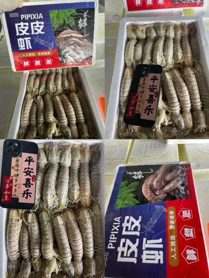 皮皮虾、虾爬子、咕虾