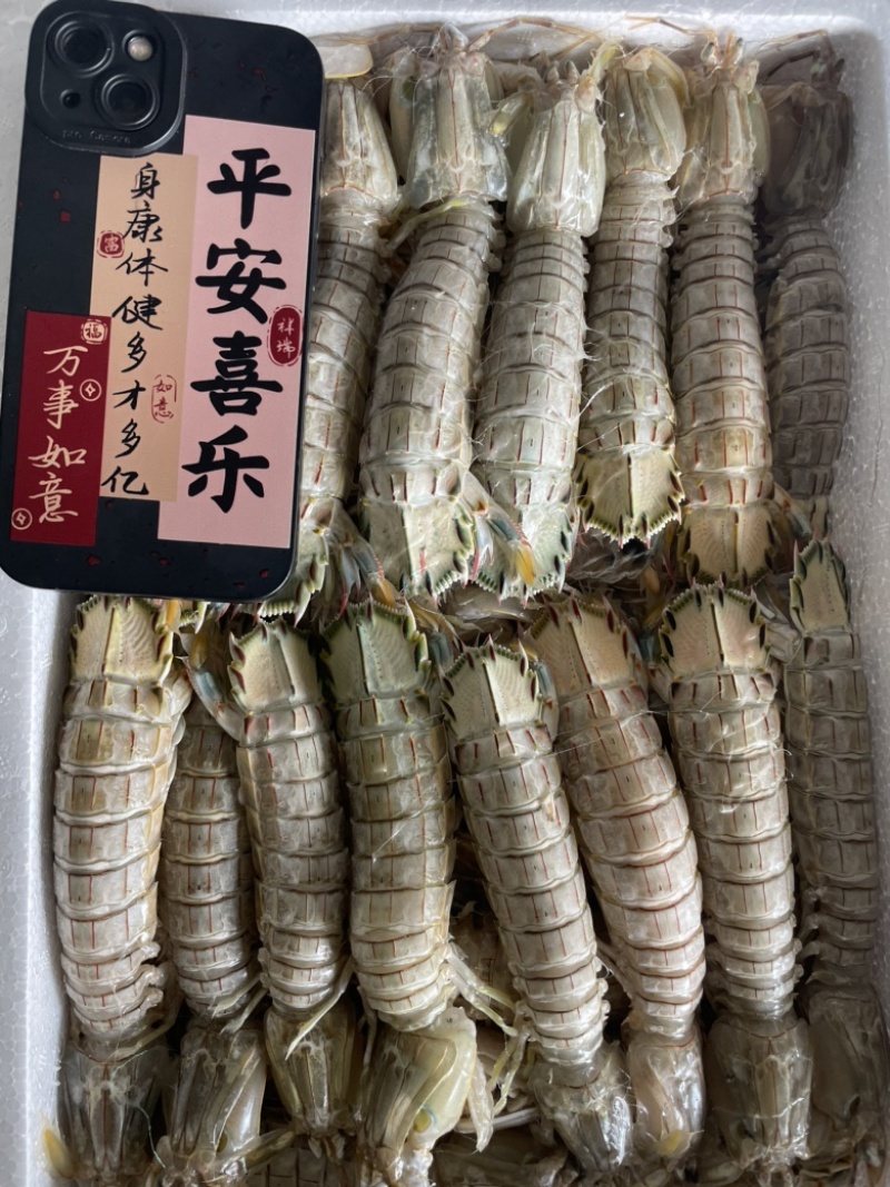 皮皮虾、虾爬子、咕虾