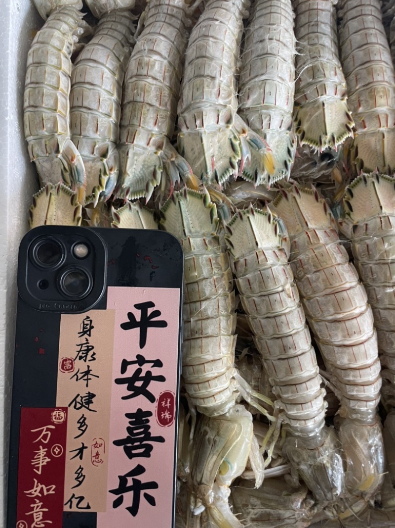 皮皮虾、虾爬子、咕虾
