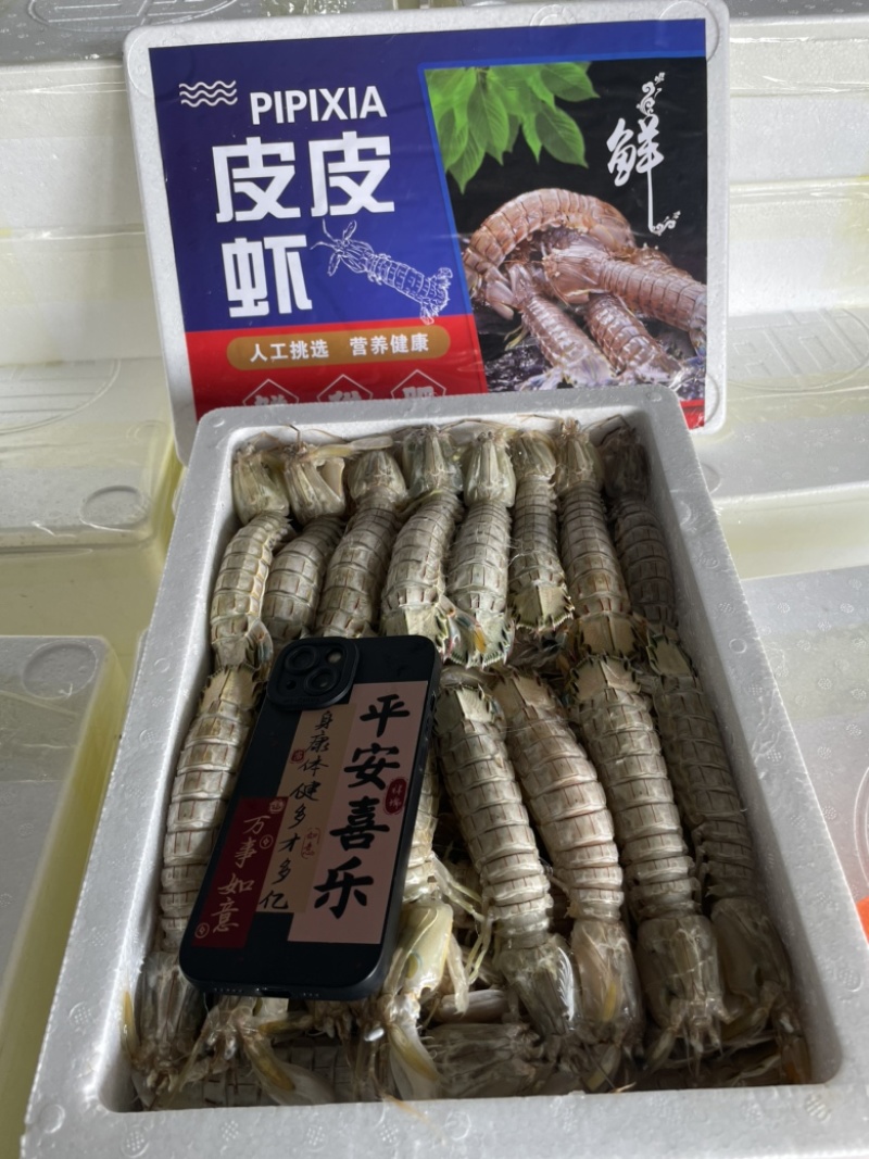 皮皮虾、虾爬子、咕虾