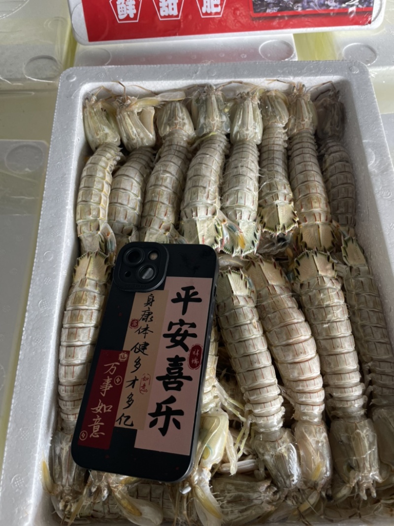 皮皮虾、虾爬子、咕虾
