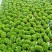 树仔菜#益肝菜#野菜芯#产地直销#优质保障源头