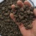 老板你好！猫爪草种子有现货，750一亩地