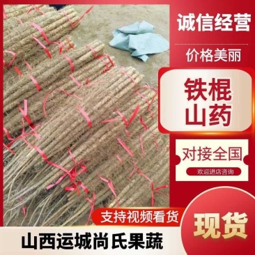 山西铁棍山药大量上市对接加工厂一手货源欢迎合作。