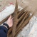 【量大优惠】新鲜小白嘴山药场地直发自厂自销