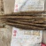 【量大优惠】新鲜小白嘴山药场地直发自厂自销