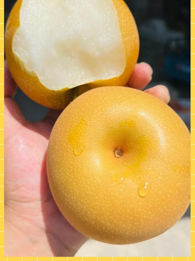 秋月梨