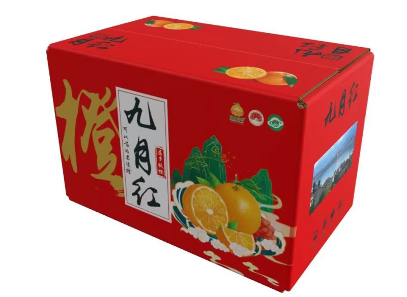 精品九月红脐橙产地直发品质保证一手货源一件代发。